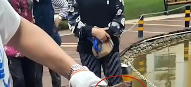 鳄雀鳝|鳄雀鳝的好日子到头了，云南钓鱼人3分钟钓一条，网友：有天敌了