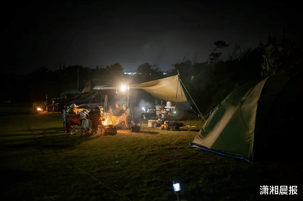 露营|宠物钓鱼露营，年轻人“良药”越来越多，如何才能真正被治愈？