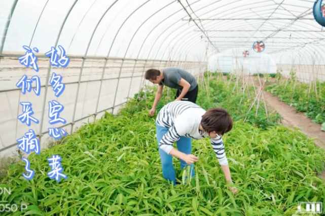 孙俪|?邓超近照暴瘦五官大变样，孙俪也眼凸脖子鼓，这对夫妻到底怎么了？