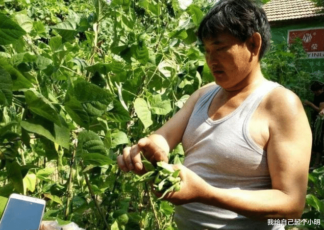 朱之文|朱之文为人很低调，为什么村民们还对他恶语相向？这3点很到位