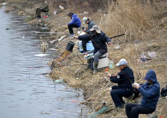 饵料|春钓鲤鱼，选对装备很关键，有了“它们”，轻松钓获大鲤鱼
