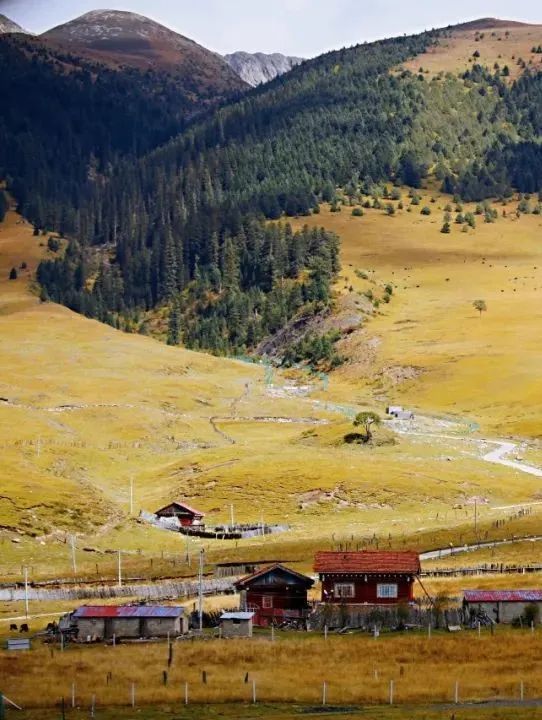 川西|1次秋日川西,相当于走遍半个中国
