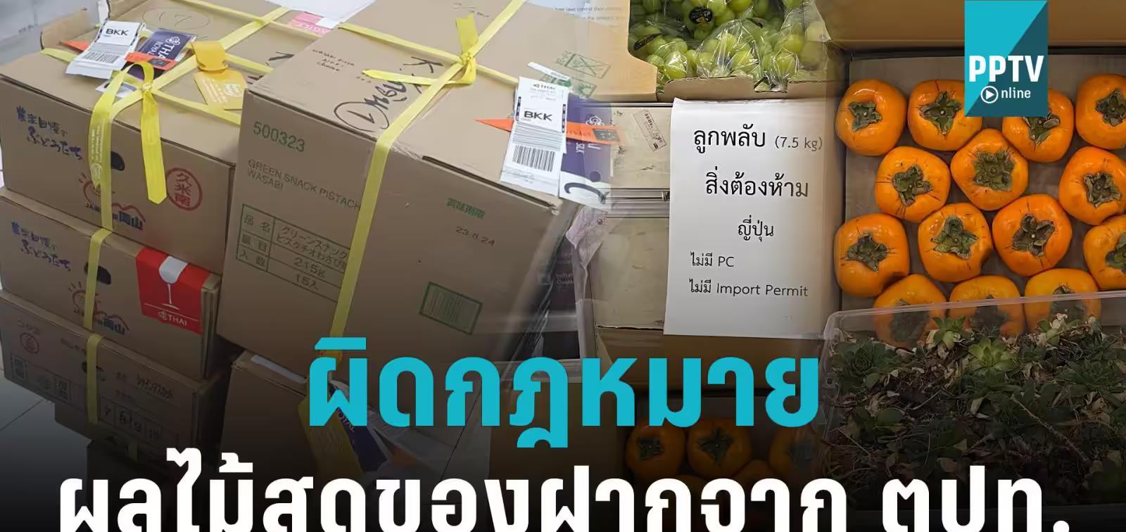 泰国农业厅：擅自携带外国新鲜水果入境属违法行为