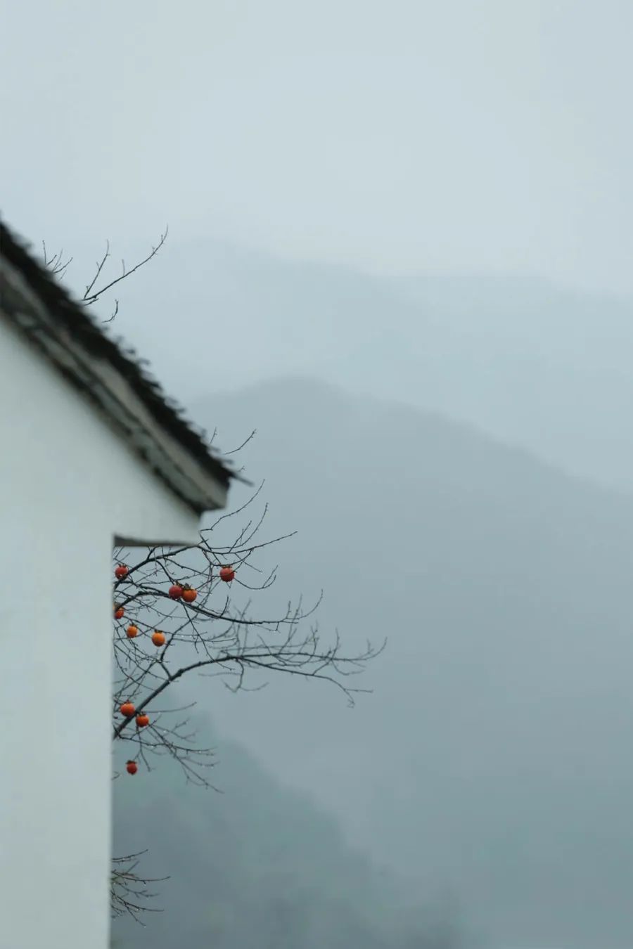 昆山|中国人对时间的雅称，有多美？