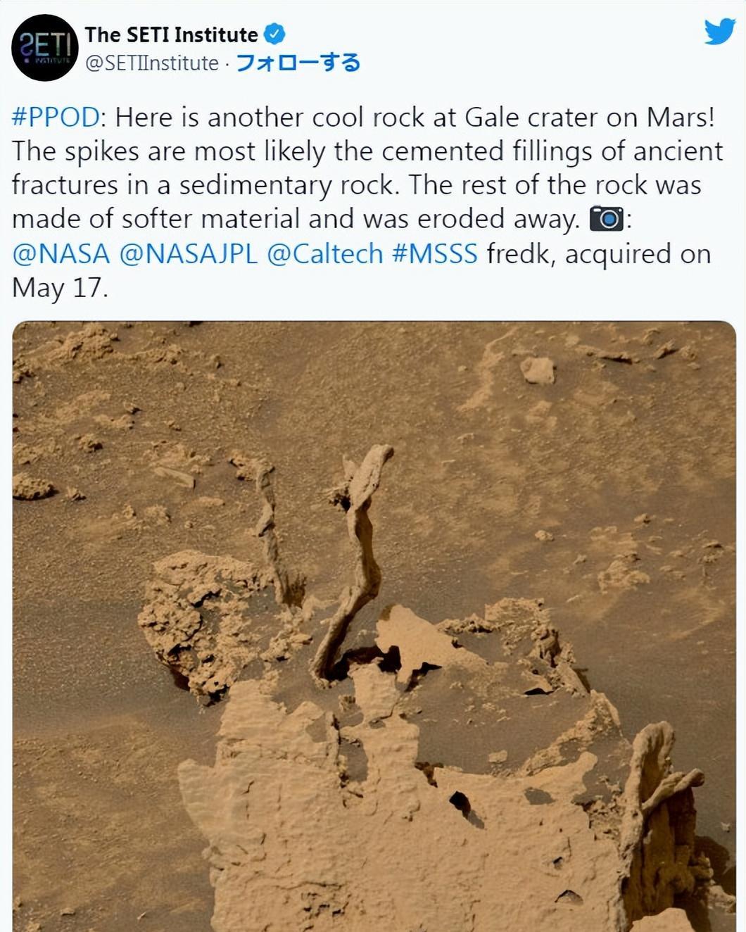 又有神秘物体被发现,火星表面某种东西像是正在发芽