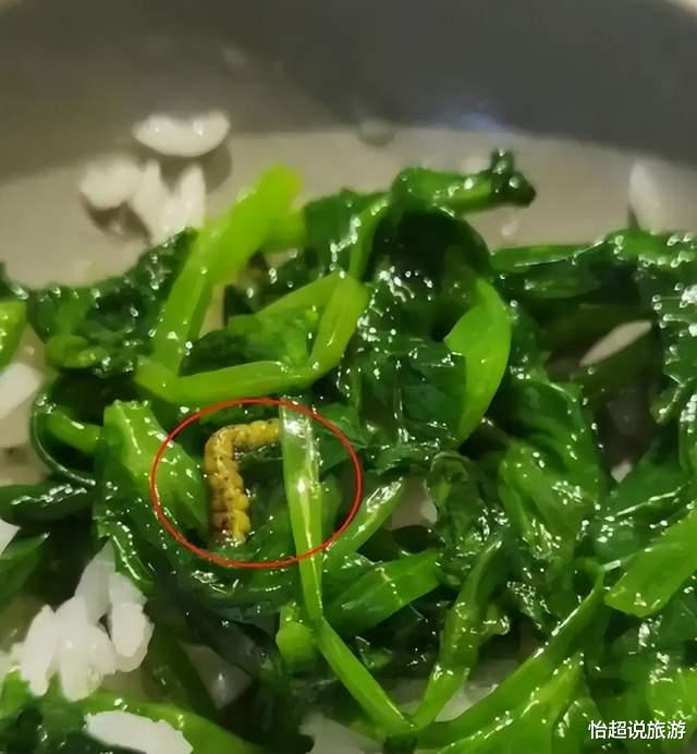 汪小菲|汪小菲餐厅被爆菜里吃出虫子!网友直呼倒胃口