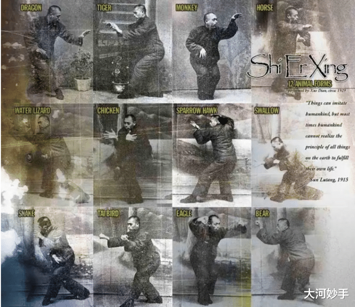 八段锦|锻炼脊柱，要学习动物的本能，八段锦五禽戏把秘密都讲透了