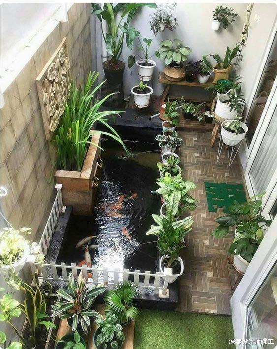 老一辈的人就是闲不下来,家里附带的院子,他们也给拿来养花种菜