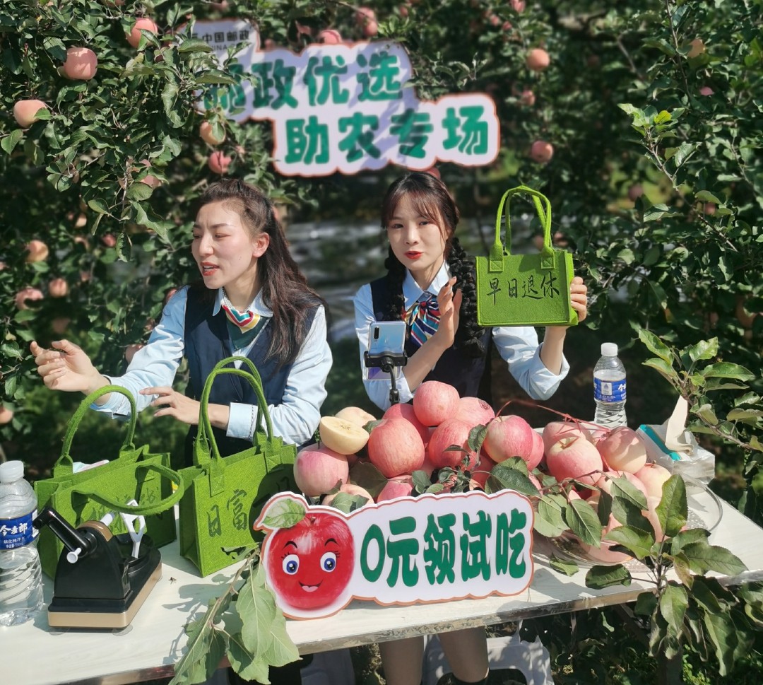 电子商务|河南洛宁：推动电商持续发展，助力县域经济发展