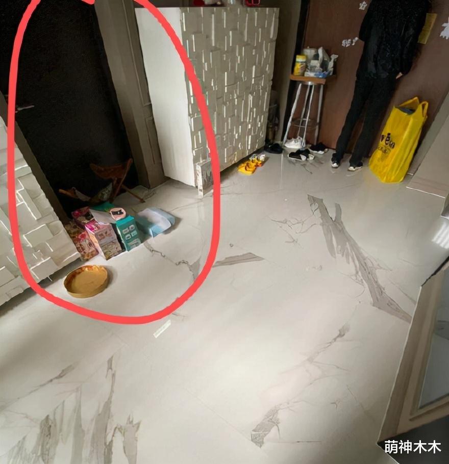 王力宏|王力宏晒出律师声明，不建议跟李靓蕾独处：她把离婚变成恶意抹黑