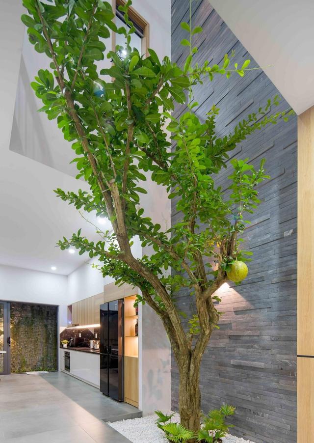 卖掉城里100,回农村建230别墅,一楼院子顶楼露台,生活安逸