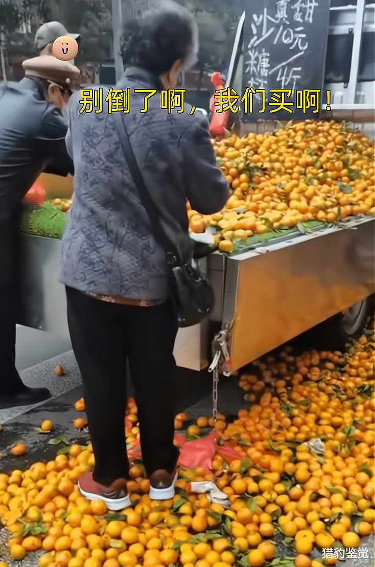 河南:男子公司倒闭后卖橘子,600斤卖不掉,一气之下全部倒掉