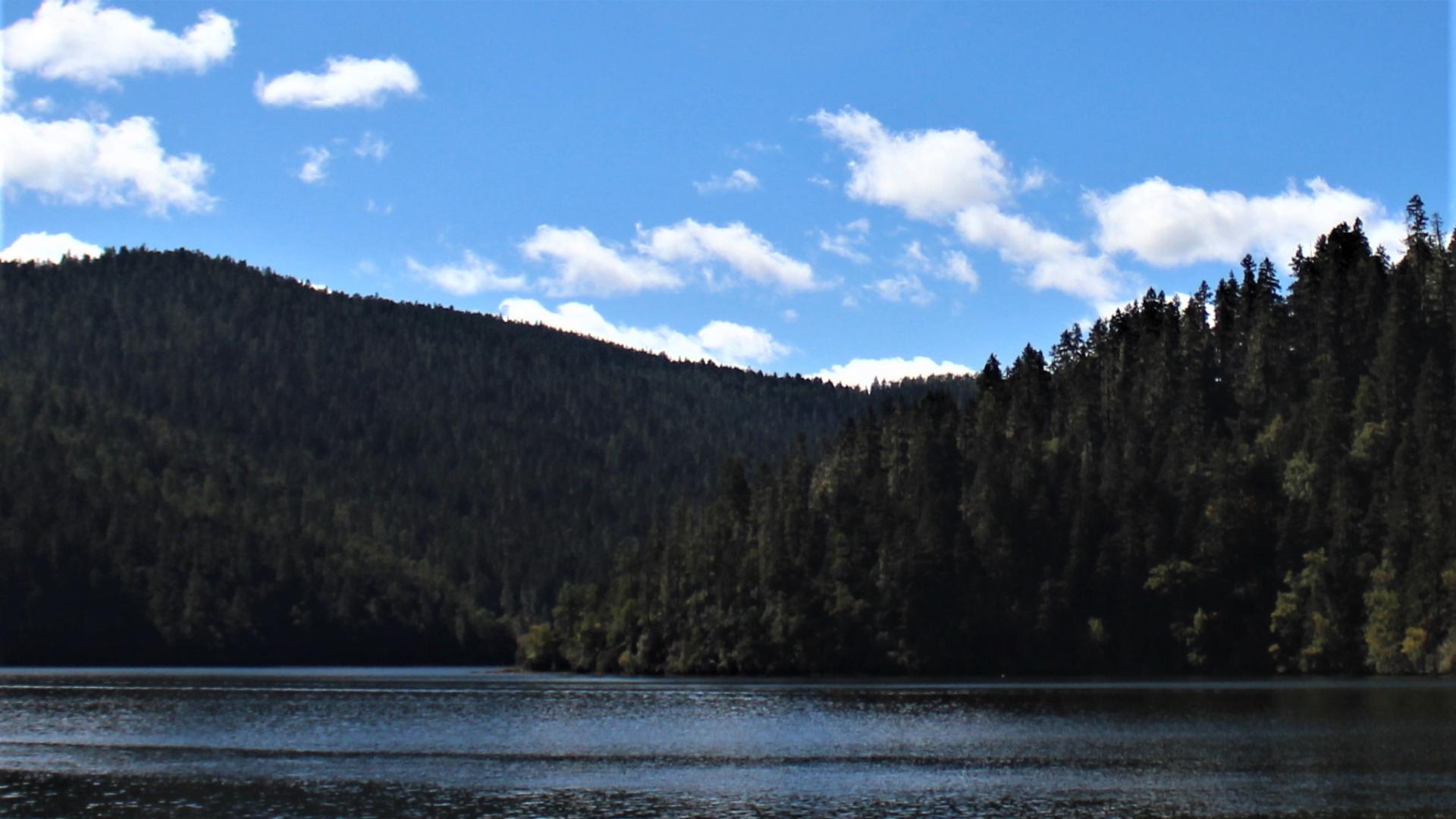 |职场一般优势，并非核心力