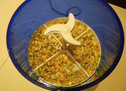 有钱都别买这10件家电家具,个个扎心扎肺,我家就中了一半