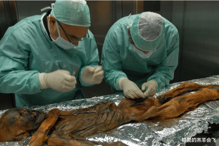 古尸奥茨:冰封5300年的史前人类,讲述一段传奇历史