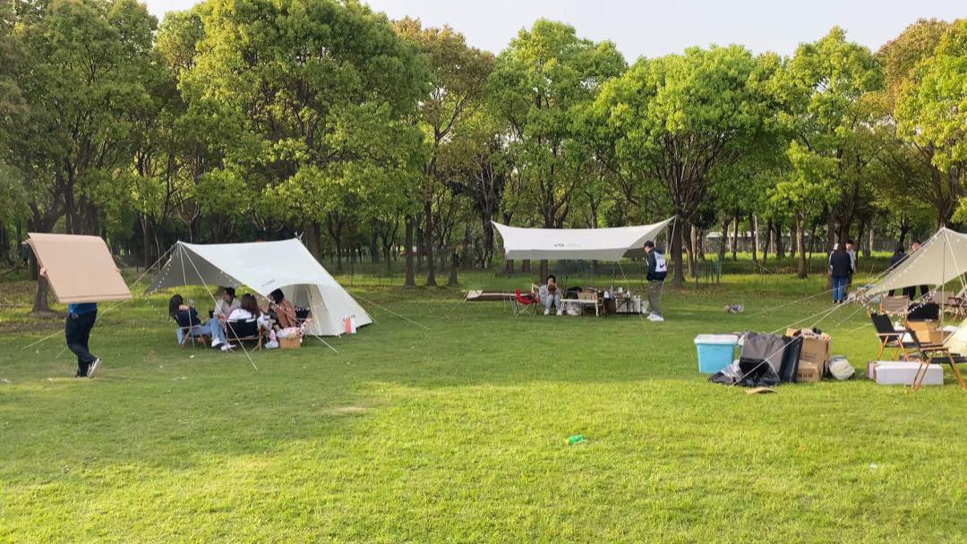 露营|在上海找一处小众且免费的公园去露营