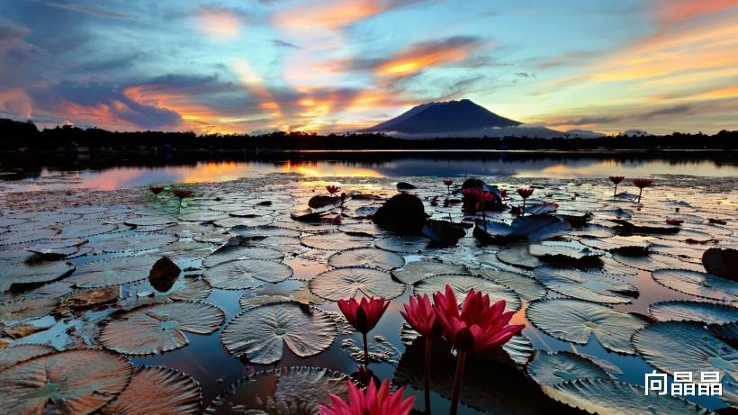 生肖|未来三个月，财务上喜气十足，事业更旺的生肖