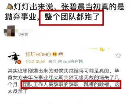 张碧晨|“母凭子贵”张碧晨：为爱生女获2亿补偿，为何华晨宇不愿娶她？