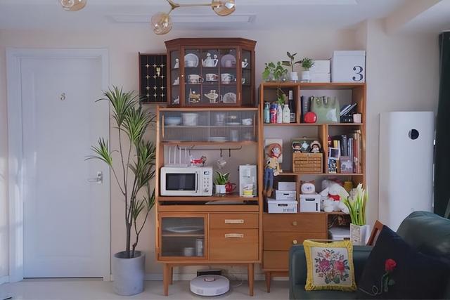 碧桂园|“买得起却用不起”的清洁小物,如果你家都有,说明很“有钱”