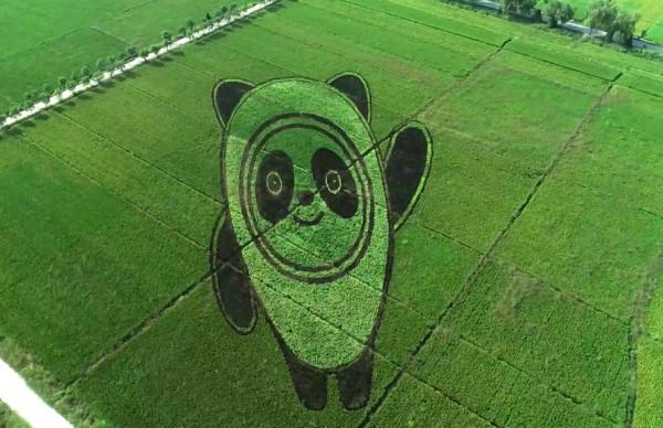 南通|2022宝藏中国3.0——带你沉浸式体验宝藏河南丰收奇趣游