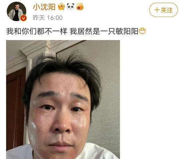 张靓颖|张靓颖想红，但没脑子！