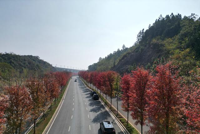乡村旅游|益阳这条长仅6.8公里的公路，很多外地人驱车前往，景色胜过景区