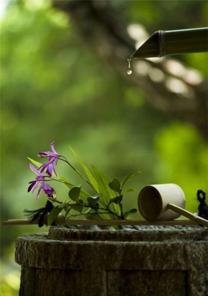 靳东|田静已经挣够一套房子的钱了，有人要悔得肠子都青了