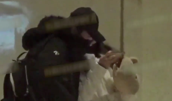 欧阳娜娜|不过亲了个嘴,就得离婚了?