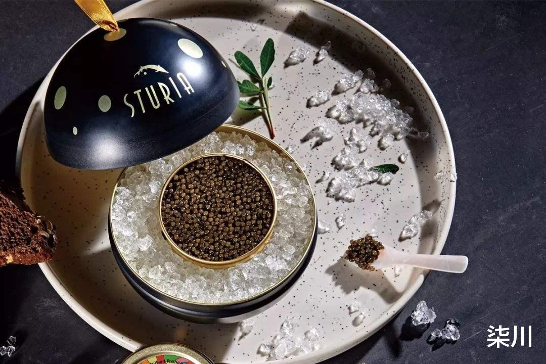 蚊子|世界公认的旅游NO1,唯一没有蚊子的冷酷仙境,让国人们流连忘返