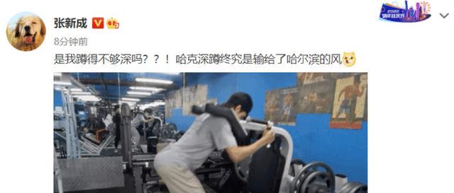 张新成|张新成上了热搜，他的经纪公司怒斥他，他自嘲道：“我是不是蹲得太深了？”