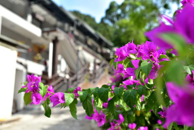 广东省|打卡广东小九寨沟，住网红民宿享诗意生活