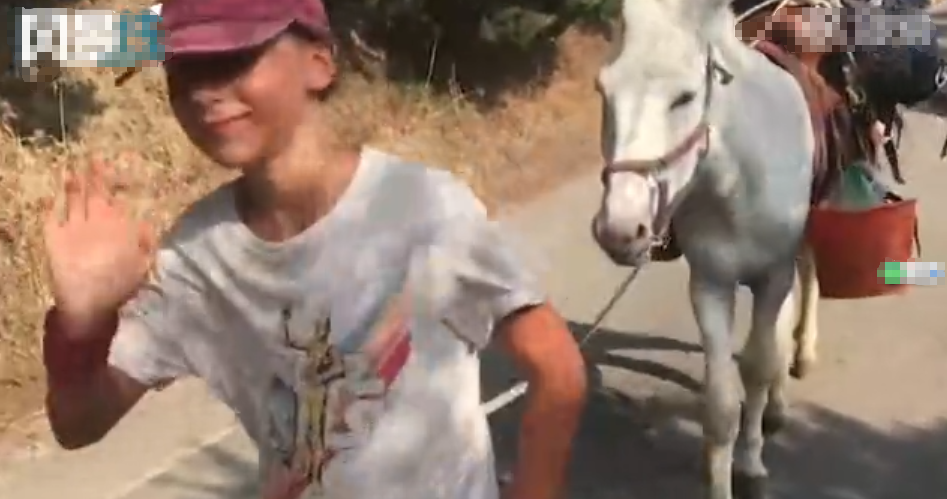 黑龙江|11岁男孩徒步2735公里,93天走4个国家,只为见奶奶一面