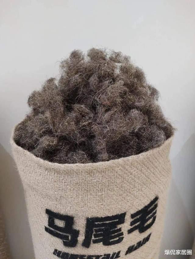 100万+的海丝腾床垫,跟1千多有什么区别?普通人关注这5点就行了