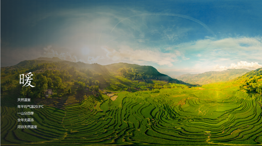 梯田|到红河苏红寨,体验宜居的半山康养生活!