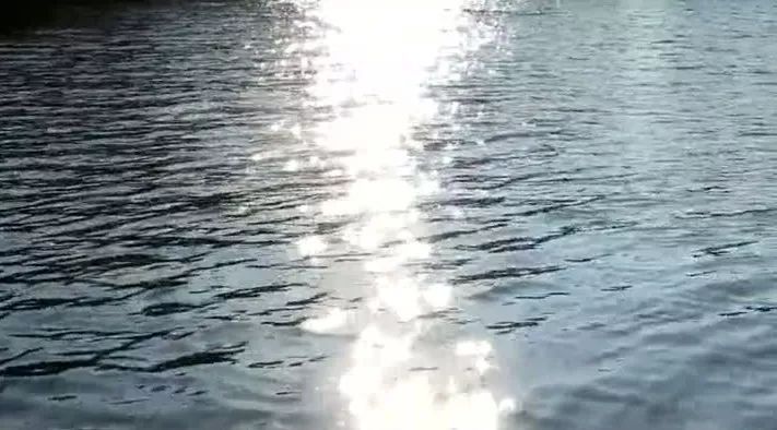 中暑|钓鱼人外出作钓,经常忽视一点,王者之战给钓鱼人上了生动一课