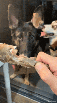 商丘|“华为1996年的招聘广告，大家自己感受一下！”哈哈哈哈人才啊