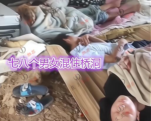 工作室|眼高手低?女子找不到万元月薪的工作,和七八个男工友混住桥洞