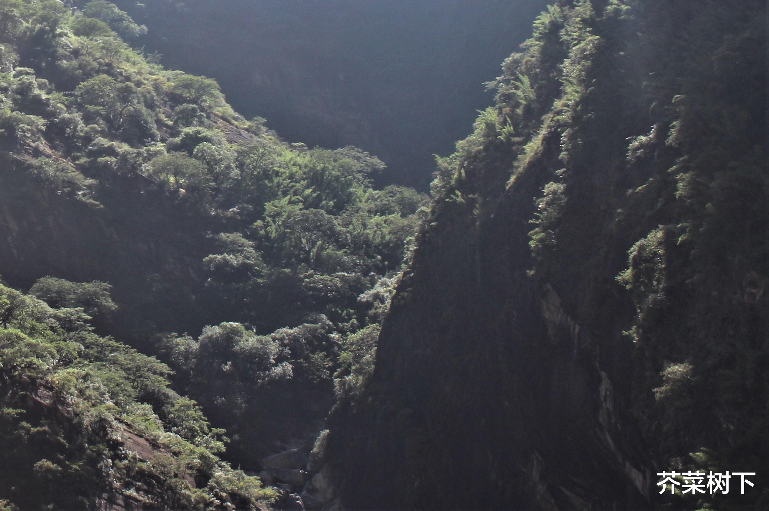 招聘|职场不想听,当然听不到