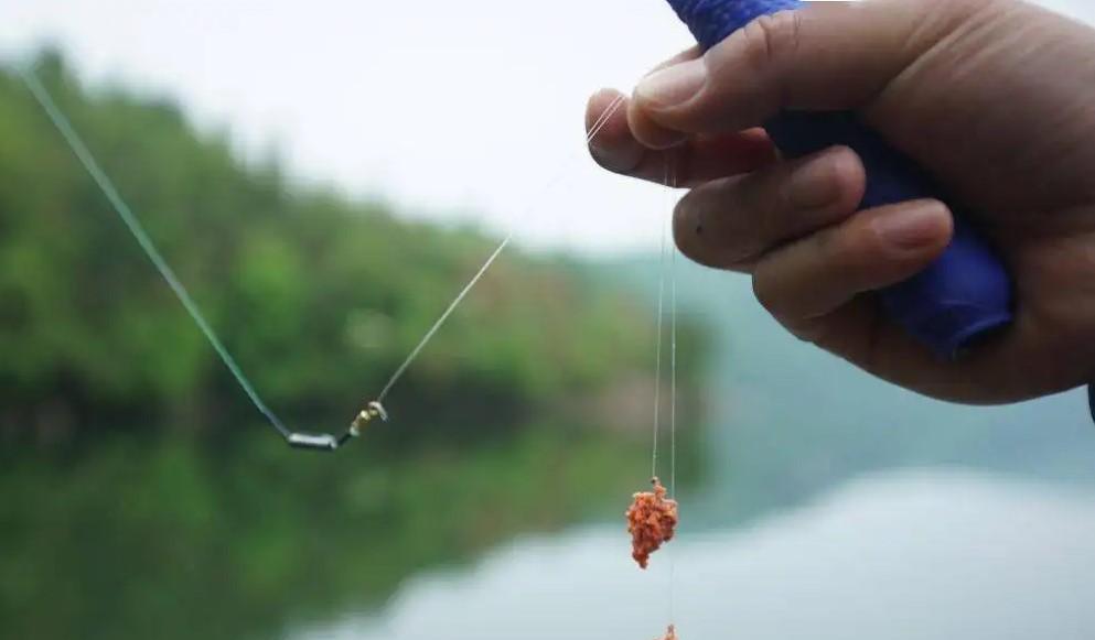 |冬天野钓鲫鱼,用几号主线和子线合适,老钓友分享经验