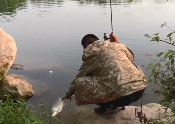 |馒头能钓鱼么?大师的操作让我叹为观止,竟然把水库草鱼抠光了