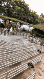 |“收拾房子找出来的,祖上是不是隐藏什么职业?”网友:去自首吧