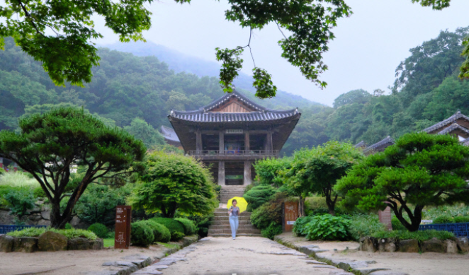 雨中的感性世界 韩国书生之乡庆北荣州之旅