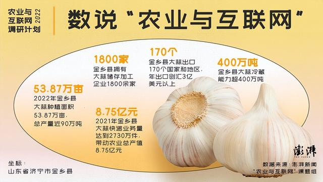 京东|农业与互联网｜金乡大蒜：电商年销近9亿，农户变身产业工人