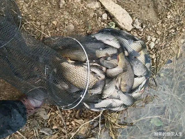 |冬季野钓几十人空军，这老大爷却连竿上鱼，秘诀告诉你你也不敢用
