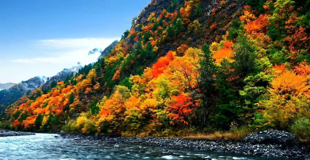 洛阳|再过半月!成都周边这个仙境,拥有最完美秋天