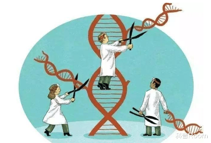 人类走进“造物主时代”,你没见过的人造动物,是奇迹还是噱头?