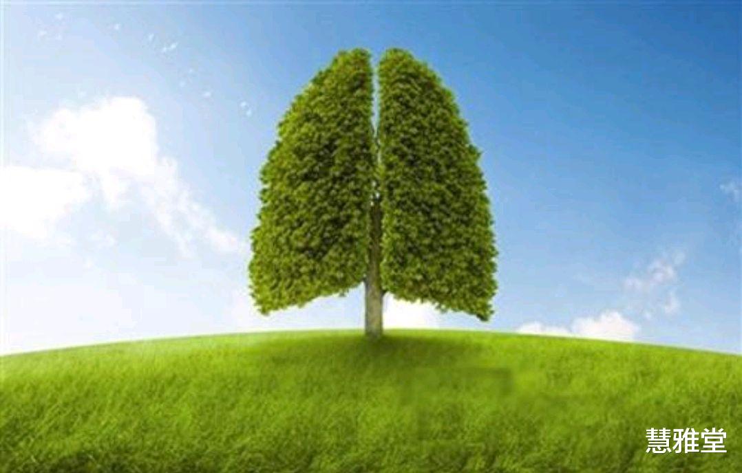 臀部|肺好不好,看身体2处或许有提示,秋天养护肺脏,建议多做4件事