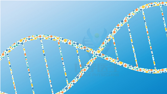 线粒体病的危害有哪些？基因检测去哪里做