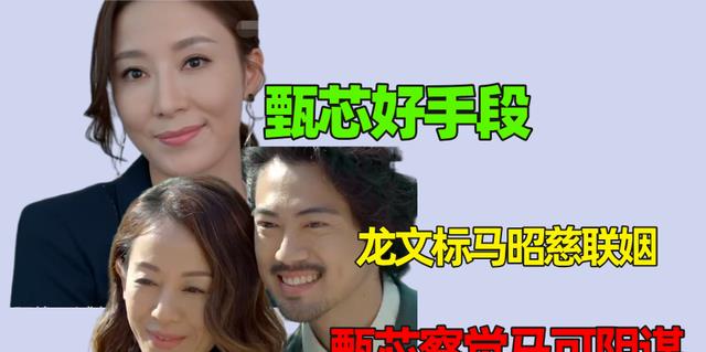 马可|家族荣耀：龙文标马昭慈联姻，甄芯察觉马可阴谋