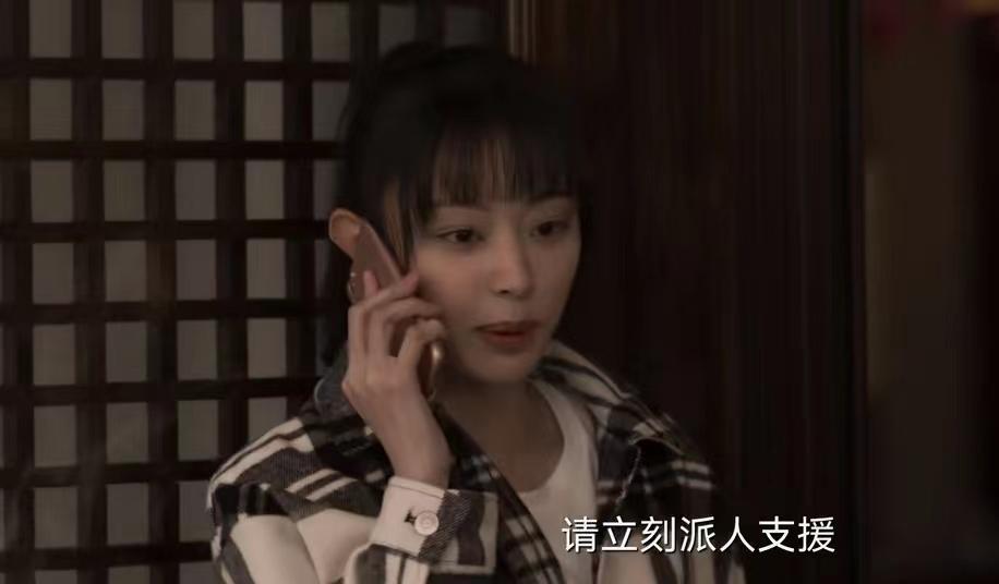 肖振邦|《罚罪》大结局:我猜到肖局的结局,却没猜到肖晨的结局,太意外